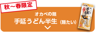 秋〜春限定 オカベの麺 手延うどん半生(麺たい)