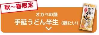 秋〜春限定 オカベの麺 手延うどん半生（麺たい）