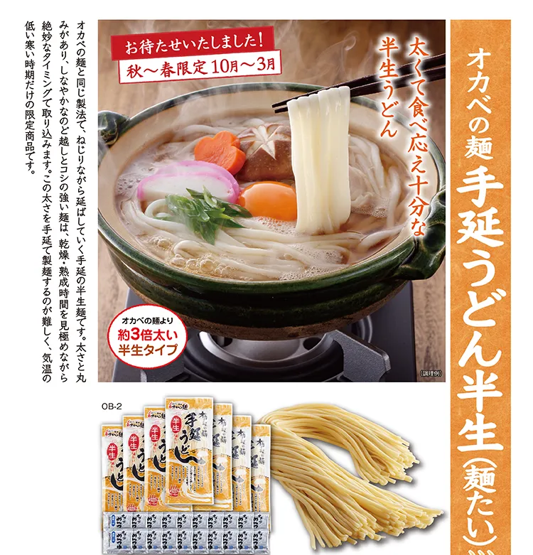 手延うどん半生(麺たい) 秋〜春限定 10月〜3月
