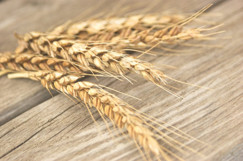小麦