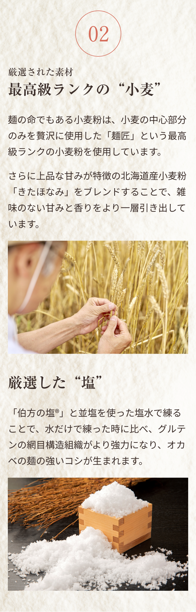 02 厳選された素材 最高級ランクの“小麦”。麺の命でもある小麦粉は、小麦の中心部分のみを贅沢に使用した「麺匠」という最高級ランクの小麦粉を使用しています。さらに上品な甘みが特徴の北海道産小麦粉「きたほなみ」をブレンドすることで、雑味のない甘みと香りをより一層引き出しています。厳選した“塩”。「伯方の塩®」と並塩を使った塩水で練ることで、水だけでこねた時に比べ、グルテンの網目構造組織がより強力になり、オカベの麺の強いコシが生まれます。