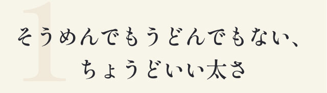 1 そうめんでもうどんでもない、ちょうどいい太さ
